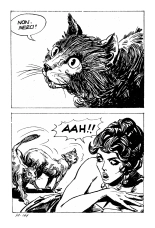 Série Verte #031) Le navire des damnées : page 177