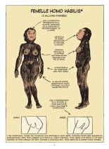 Sexe Story  Une Histoire du Sexe : page 9