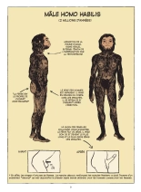 Sexe Story  Une Histoire du Sexe : page 10