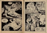 Sexorama N°14 - La vengeance : page 11
