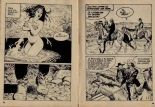 Sexorama N°14 - La vengeance : page 23