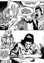 Sexyman N°13 - Milady l'aventurière : page 33