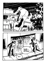 Sexyman N°34 - Une nuit folle, folle & Lady Love et le diamant du Roi d'Orient : page 30