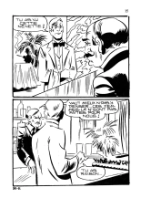 Shatane 025 - Sac de noeuds : page 15