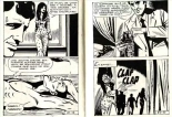Show baise-ness : page 30
