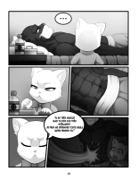 Size Counts : page 2