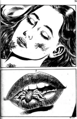 Storie Blu 41 Jouet : page 80