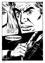 Sylvia N°21 - Une prothése presque parfaite : page 13