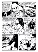 Symbiose : page 17