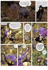 Tendre Violette - T02 - La Clochette : page 35