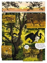 Tendre Violette - T05 - Lucye : page 16