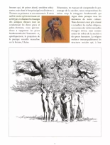 Tendre Violette - T05 - Lucye : page 62