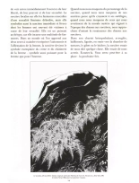 Tendre Violette - T05 - Lucye : page 66