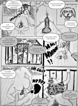 Végacoquin  Voisines et coquines : page 9