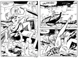 Vole,vole,culotte folle! : page 14