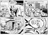 Vole,vole,culotte folle! : page 22