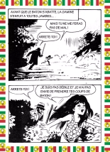Wallestein 017 - A coups de baton : page 34