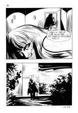 Wallestein 017 - A coups de baton : page 68