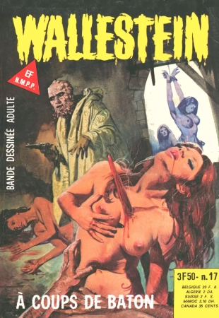 hentai Wallestein 017 - A coups de baton