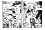 Ward l'invisible 1 - Un groom intrépide : page 13