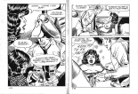 Ward l'invisible 1 - Un groom intrépide : page 14
