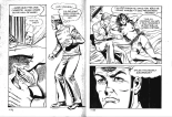 Ward l'invisible 1 - Un groom intrépide : page 20