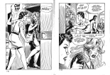 Ward l'invisible 1 - Un groom intrépide : page 46